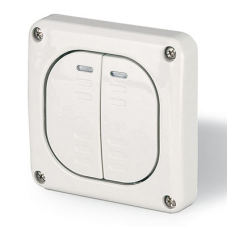 Выключатель однополюсный, двухклавишный