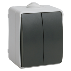 ВС20-2-0-ФСр Выключатель двухклавишный для открытой установки ФОРС IP54 IEK ВС20-2-0-ФСр Выключатель двухклавишный для открытой установки ФОРС IP54 IEK