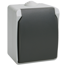 РСб20-3-ФСр Розетка одноместная с з/к для открытой установки ФОРС IP54 IEK РСб20-3-ФСр Розетка одноместная с з/к для открытой установки ФОРС IP54 IEK